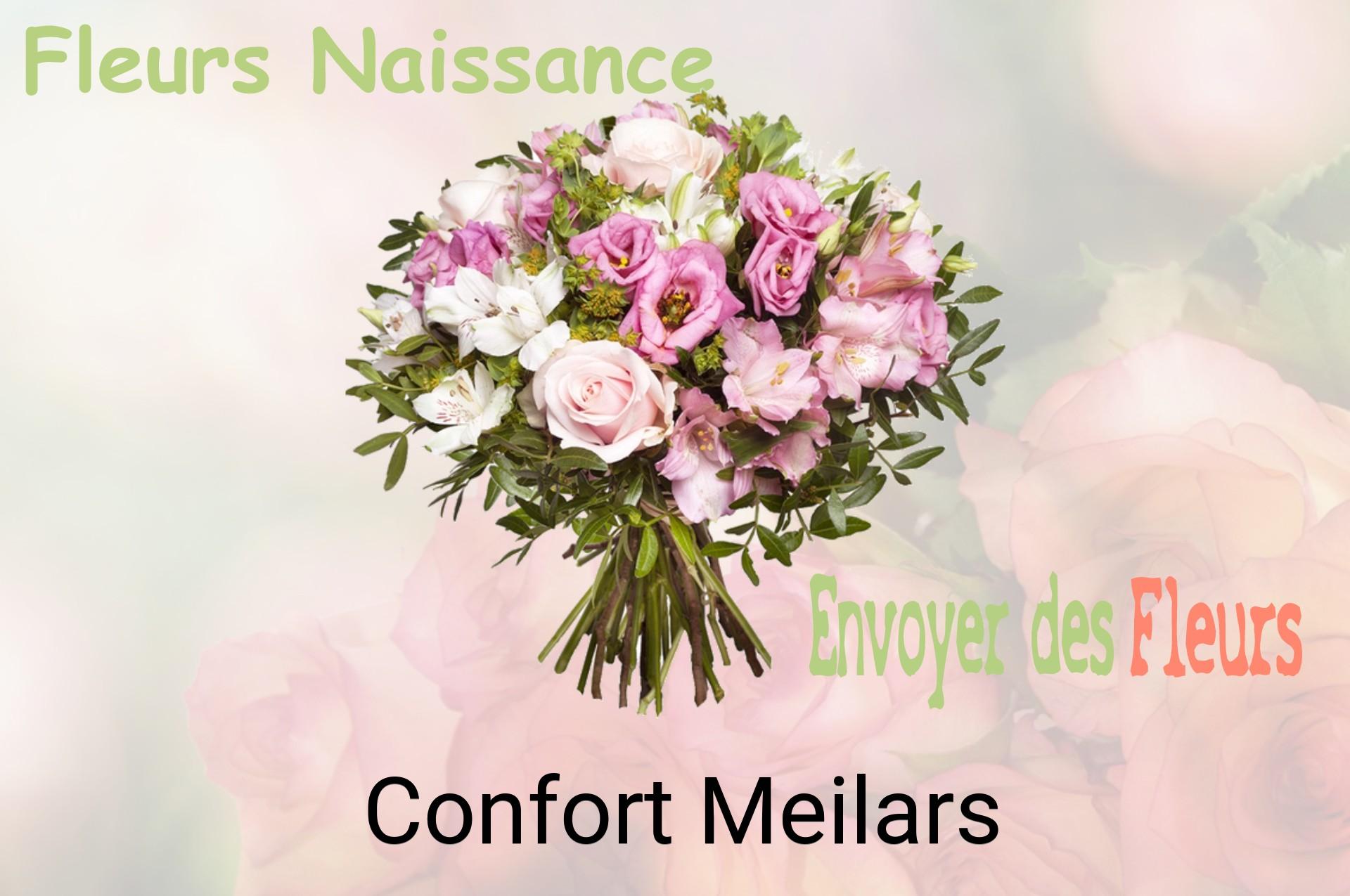 Bouquet de fleurs de naissance livré à Confort-Meilars