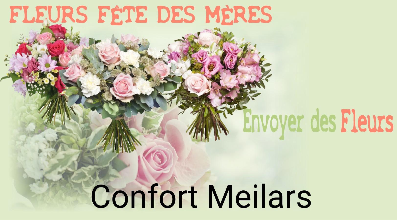 Bouquet de Fête des Mères livré à Confort-Meilars